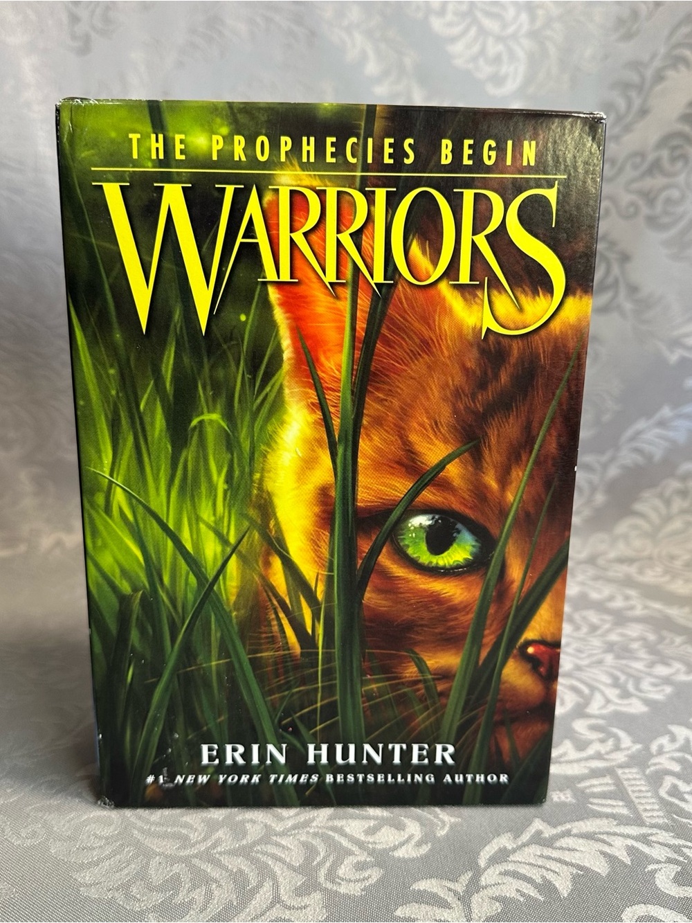 Hunter Warriors: The Prophecies Begin — Green & Orange Cover